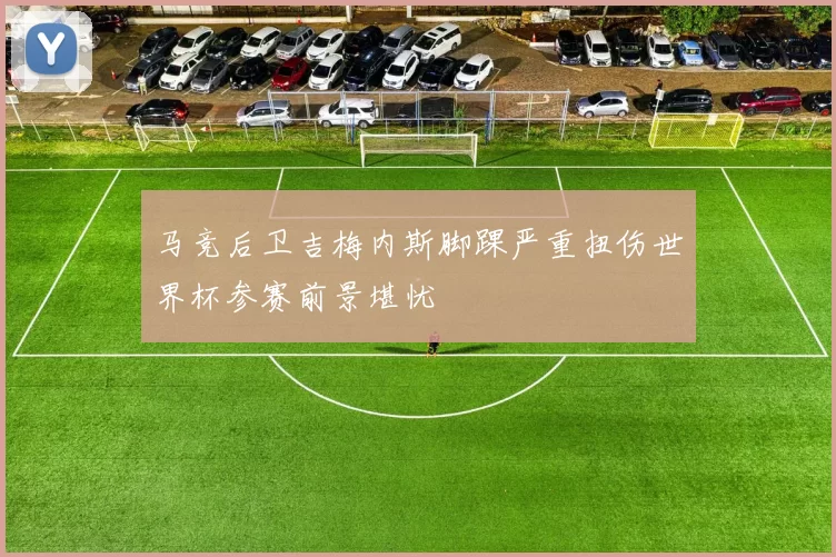 马竞后卫吉梅内斯脚踝严重扭伤世界杯参赛前景堪忧