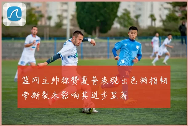 篮网主帅称赞夏普表现出色拇指韧带撕裂未影响其进步显著