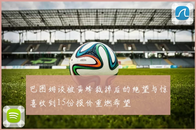 巴图姆谈被黄蜂裁掉后的绝望与惊喜收到15份报价重燃希望