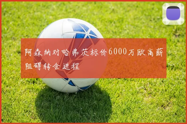 阿森纳对哈弗茨标价6000万欧高薪阻碍转会进程